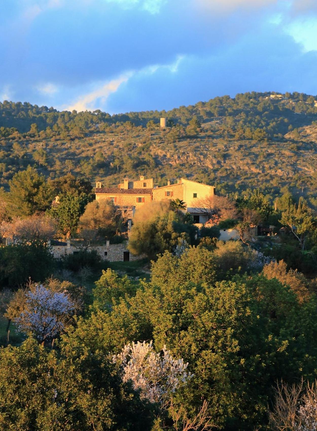 Son Malero Guest House Calvia  Екстериор снимка
